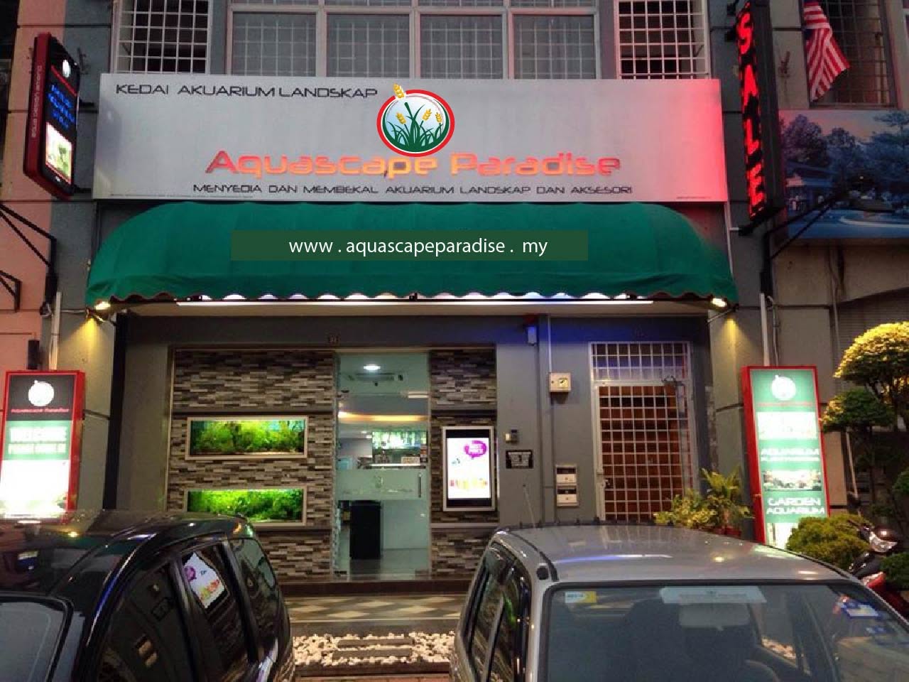 Aquascape Paradise 5